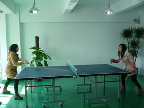 新天會展 專業設計賦能，打造卓越展覽會議體驗